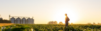 Agriculture, Forestry, and Fishing