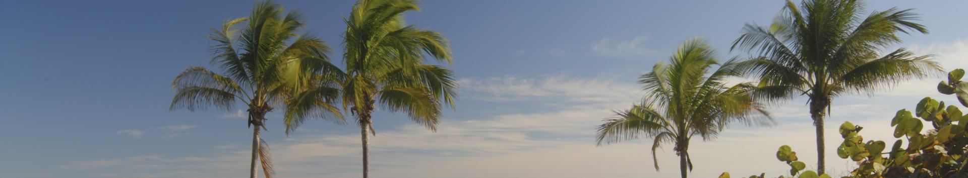 Florida