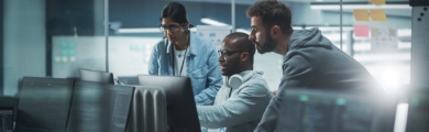 IT - Executive, Consulting